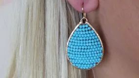 Posh Turquoise Earrings