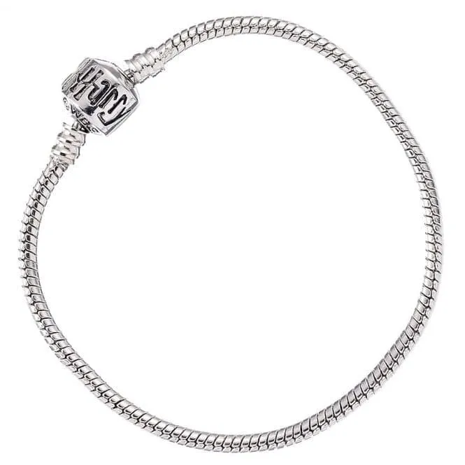 Silver Charm Bracelet