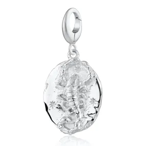 Silver Scorpio Zodiac Charm