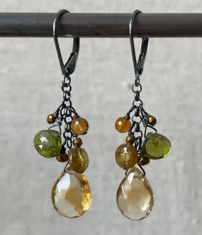 Stream Reflection Cluster Earrings